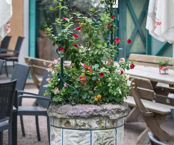 Il Mulino Seekirchen am Wallersee