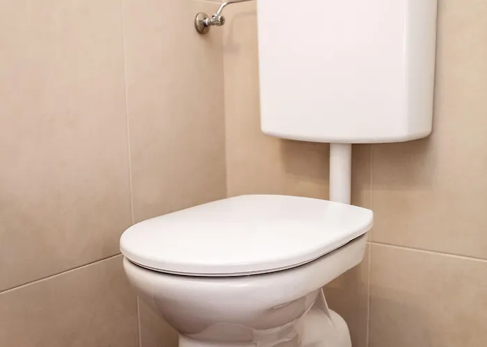 Il Mulino